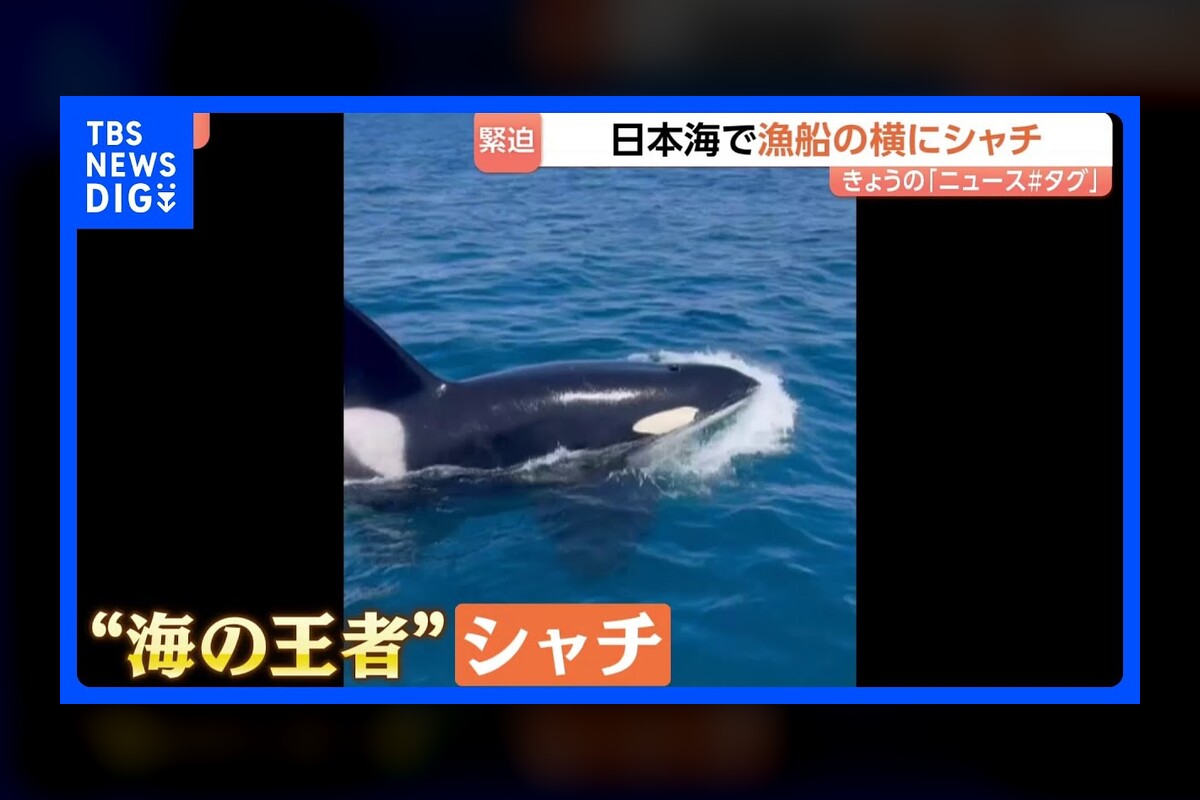 Short Japanese News 2026.08