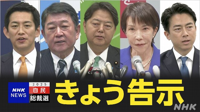 The LDP's new President has been elected