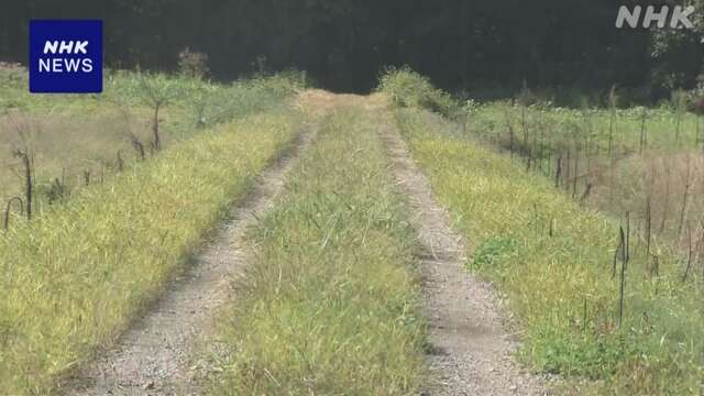 A man was injured in akita prefecture, where bears attacked people