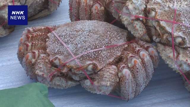 There was an event to enjoy autumn food in Hokkaido.