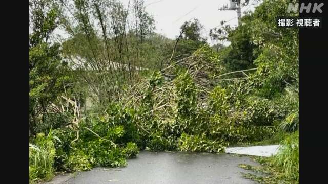 Typhoon no. 22, it rained a lot in izu islands. strong winds blew.