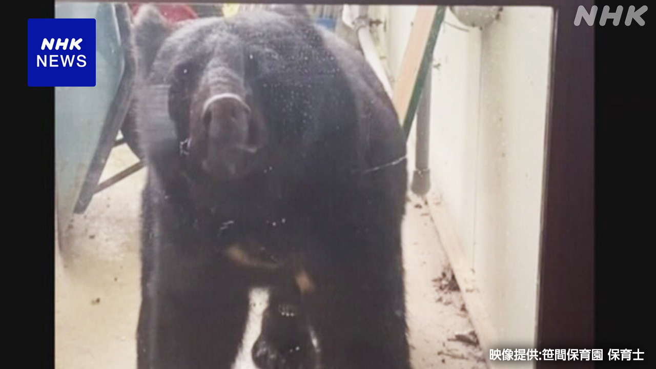 A bear entered the nursery school in iwate prefecture.