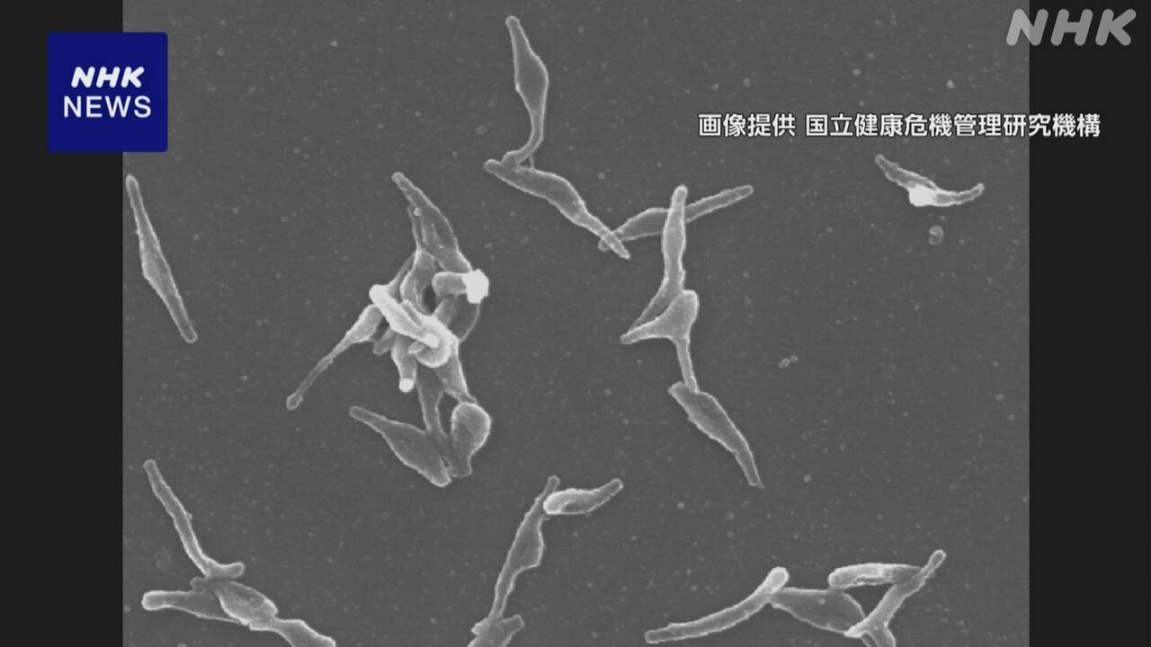 Mycoplasma pneumonia is on the rise.