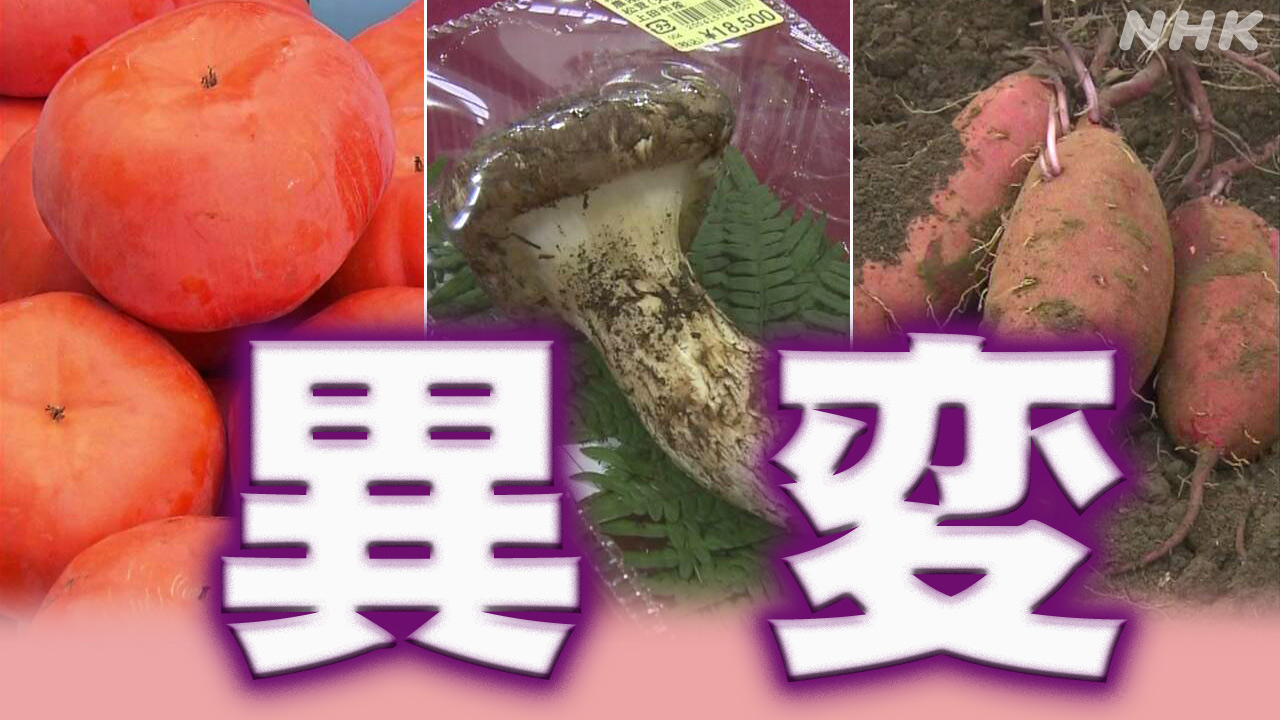 Vegetables and fruits are not growing well because of the heat