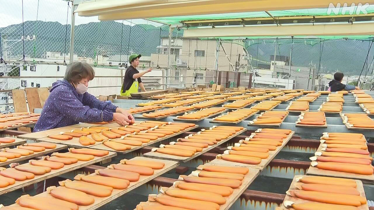 The season to make karasumi that is delicious when eaten with sake