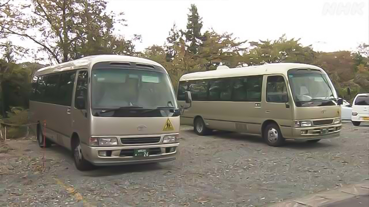 Thinking about the safety of children using the school bus where bears continue to suffer
