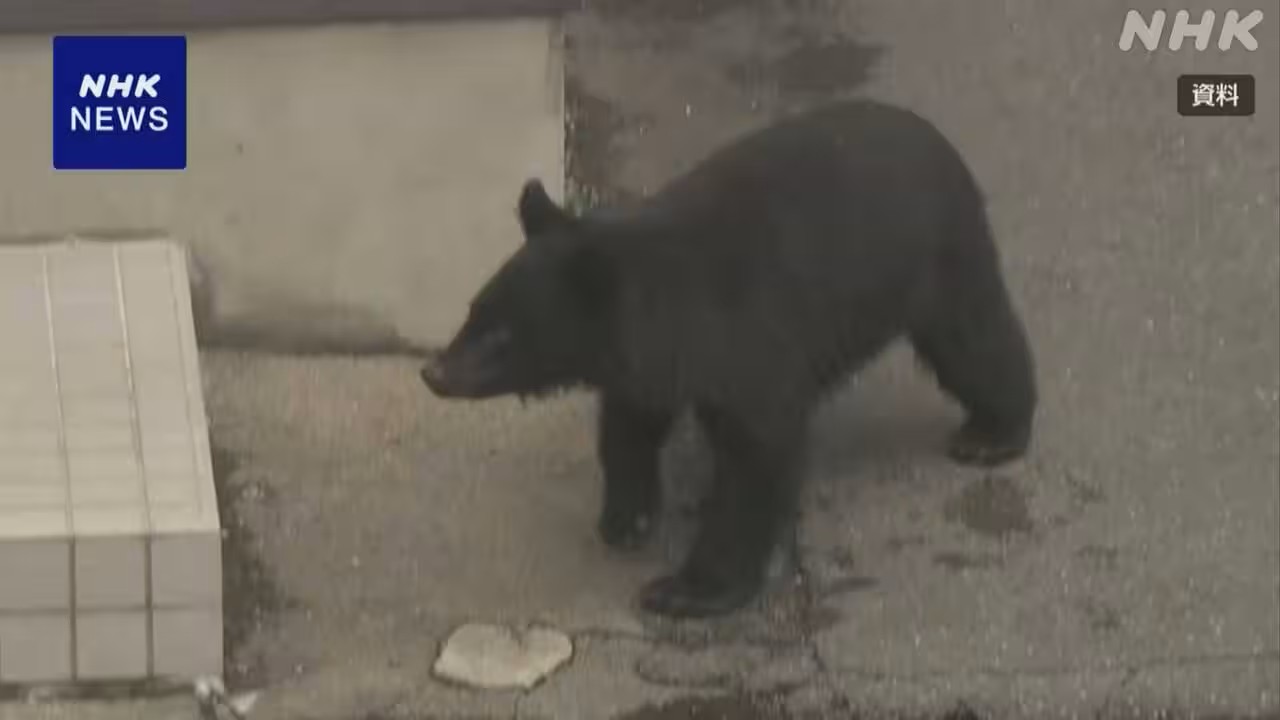I want to keep bears from coming to people's homes.