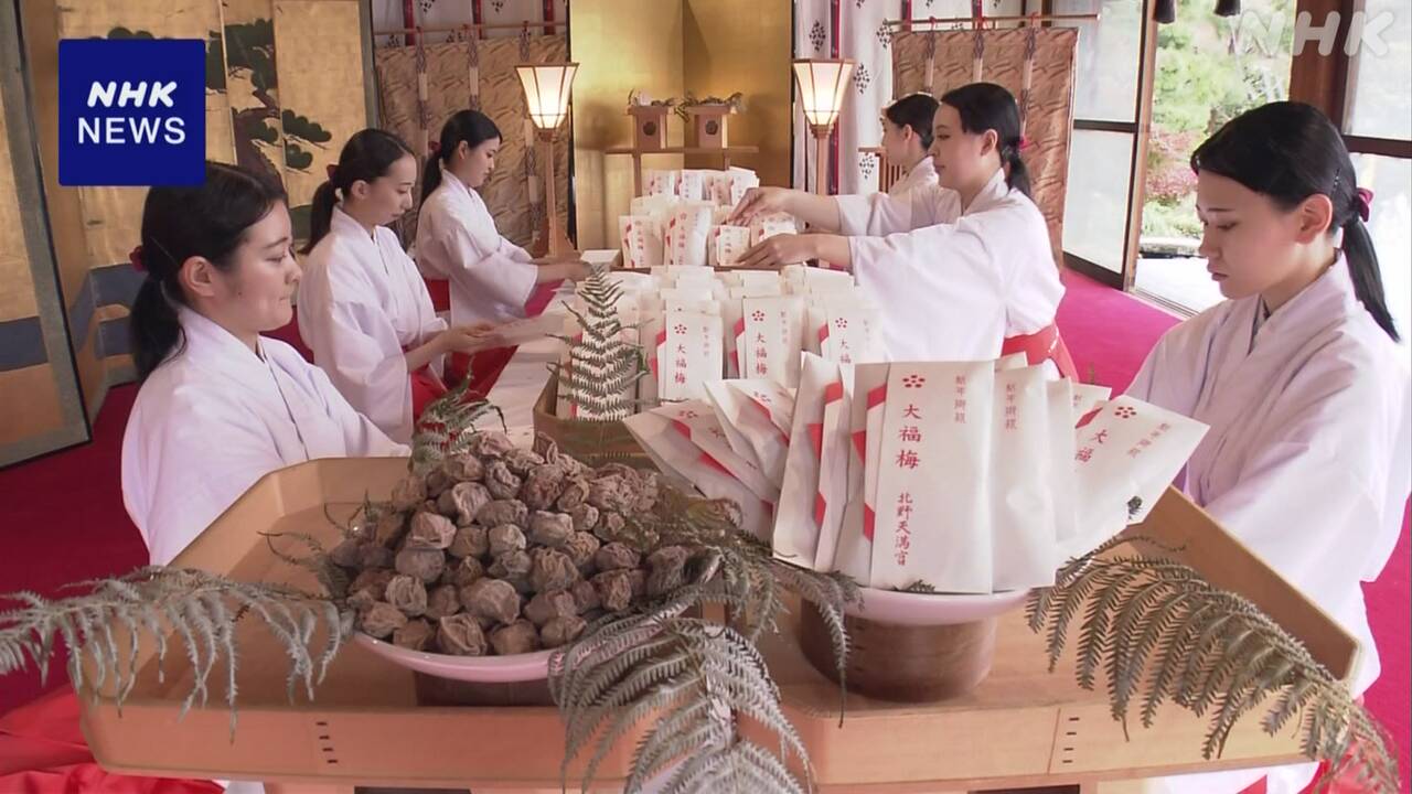 Kitano tenmangu shrine in Kyoto is preparing for the New Year.