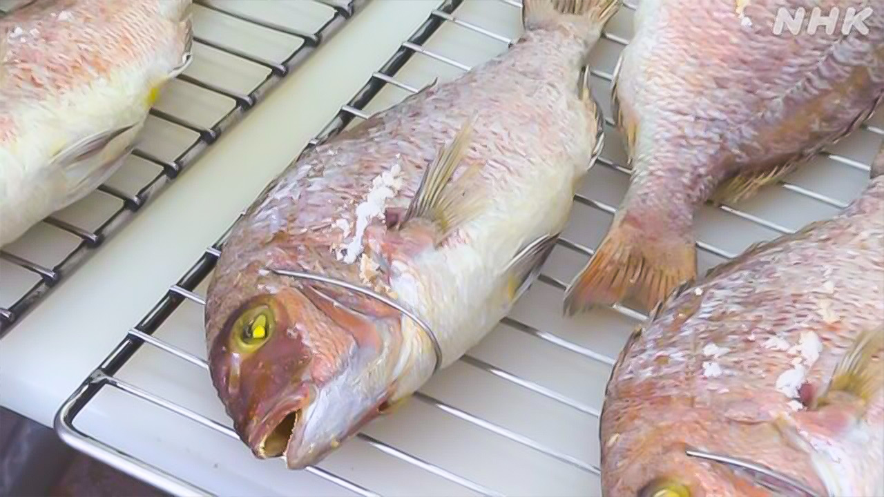 "Sea bream grilled" is popular as a gift