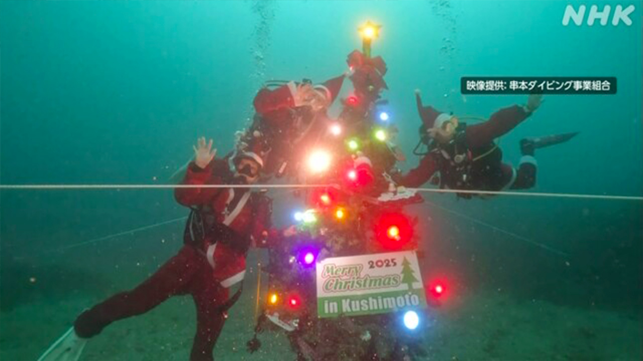 Wakayama prefecture decorate Christmas trees in the sea