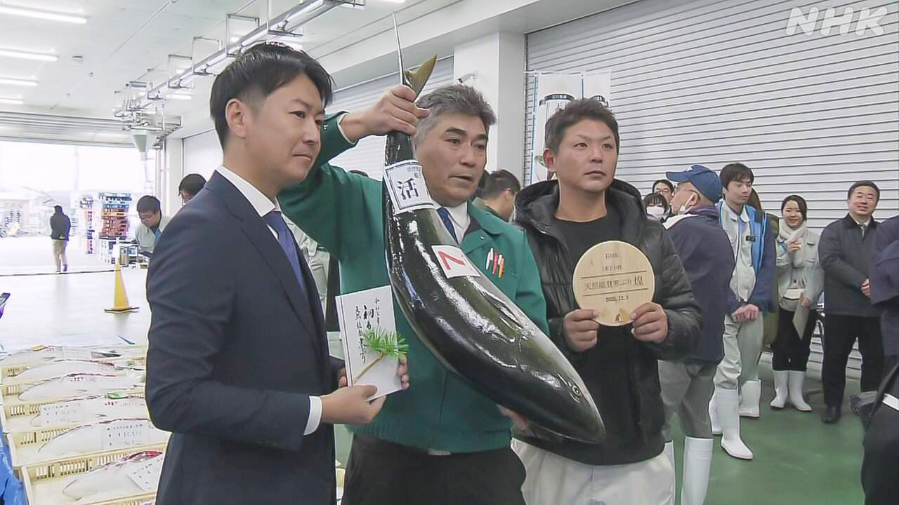The cold yellowtail from nengdeng peninsula, which had an earthquake last year, sold for 4 million yen