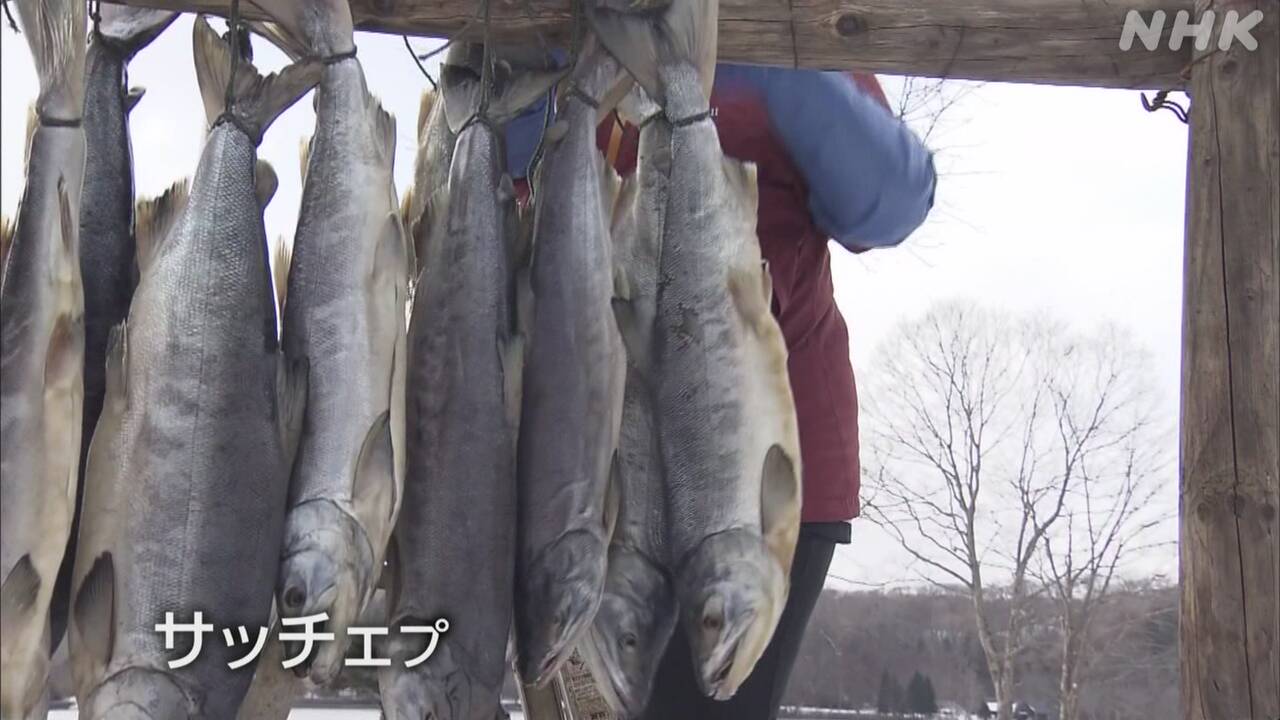Cook salmon for Ainu people in Hokkaido