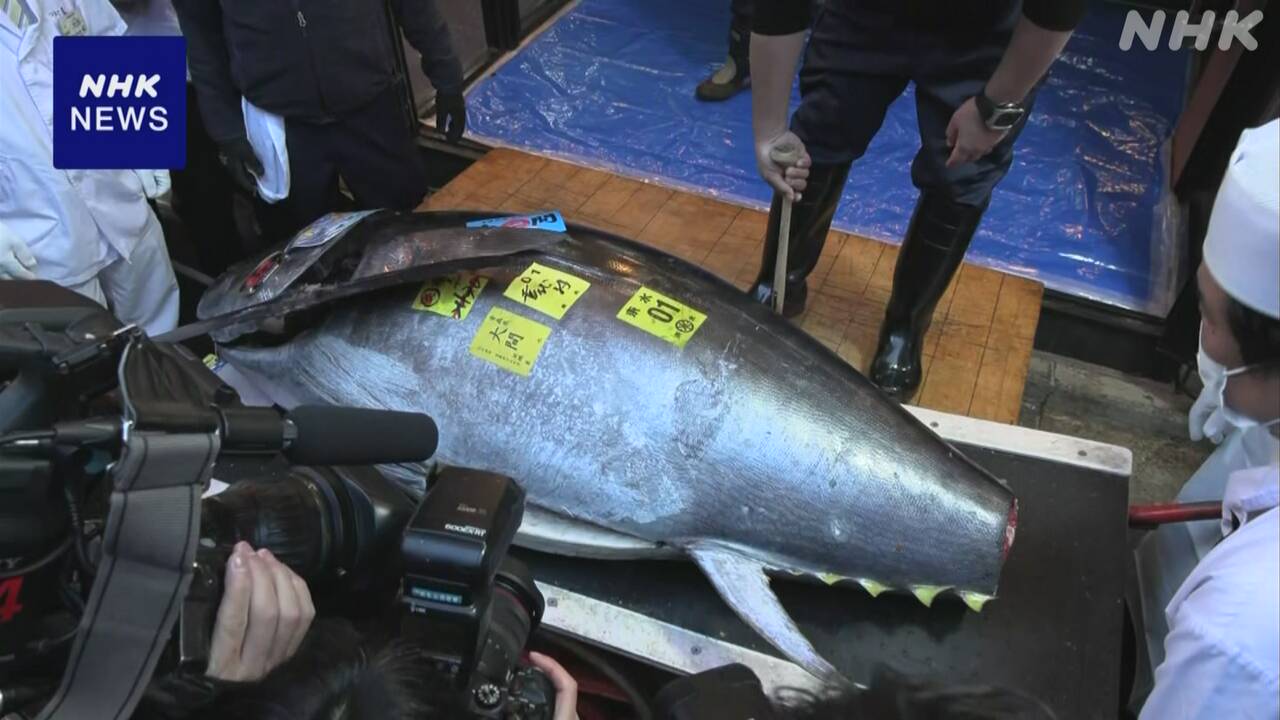 First auction of the year at Toyosu Market: tuna at 500 million yen