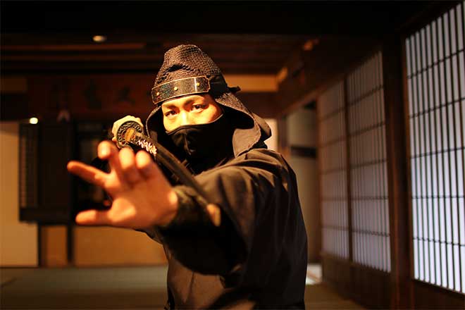 Ninja Show