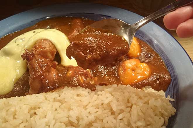 curry with fried tofu