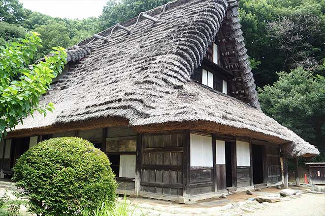 Ikuta Ryokuchi is a park full of nature.