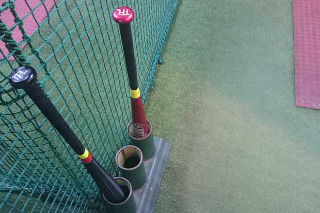 I went to the batting center.