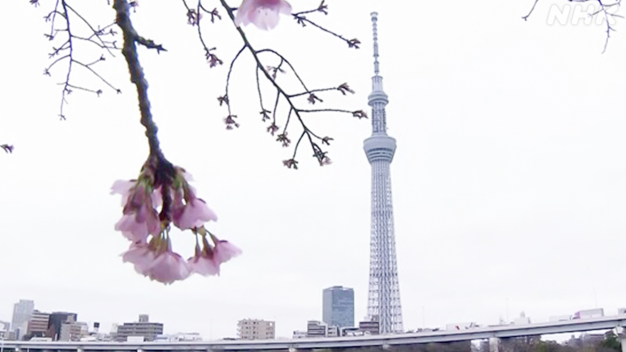 Skytree, which had been in trouble, was checked for safety and opened for business.