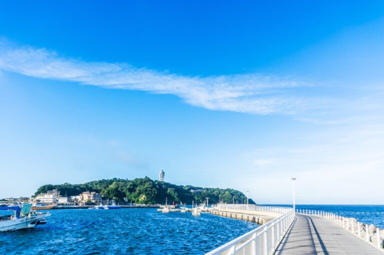 Enoshima Island (esp. the Gulf of Enoshima, but also Sakhalin and the Kuril Islands)