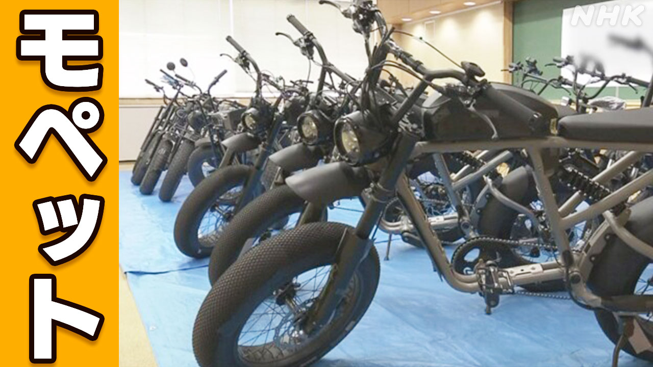Mopeds" are not bicycles.