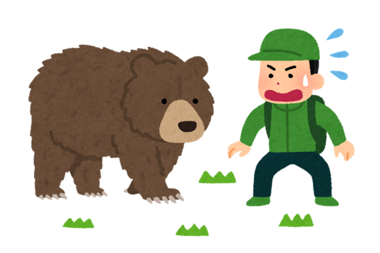 If you encounter a bear