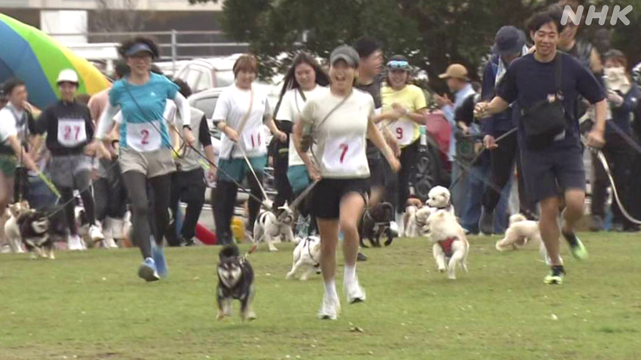Kochi Prefecture Dog Owners Running Sports with Dogs
