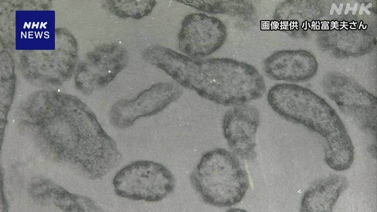 More and more people are getting measles. Be careful.