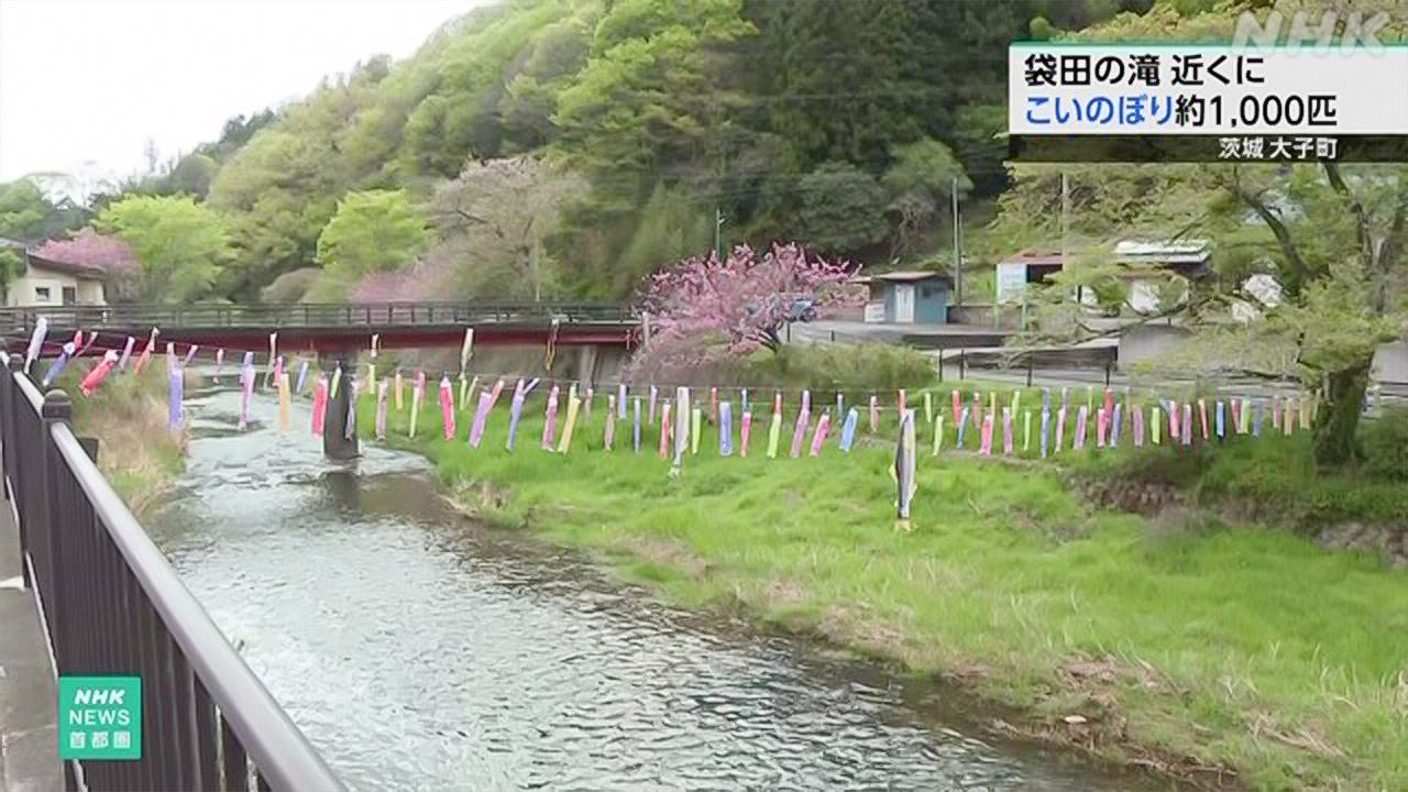 Ibaraki Prefecture, decorated with 1,000 "carp streamers