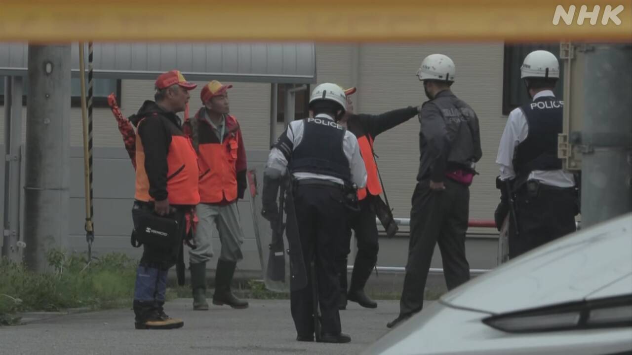 Toyama City Woman injured in bear attack in inhabited town