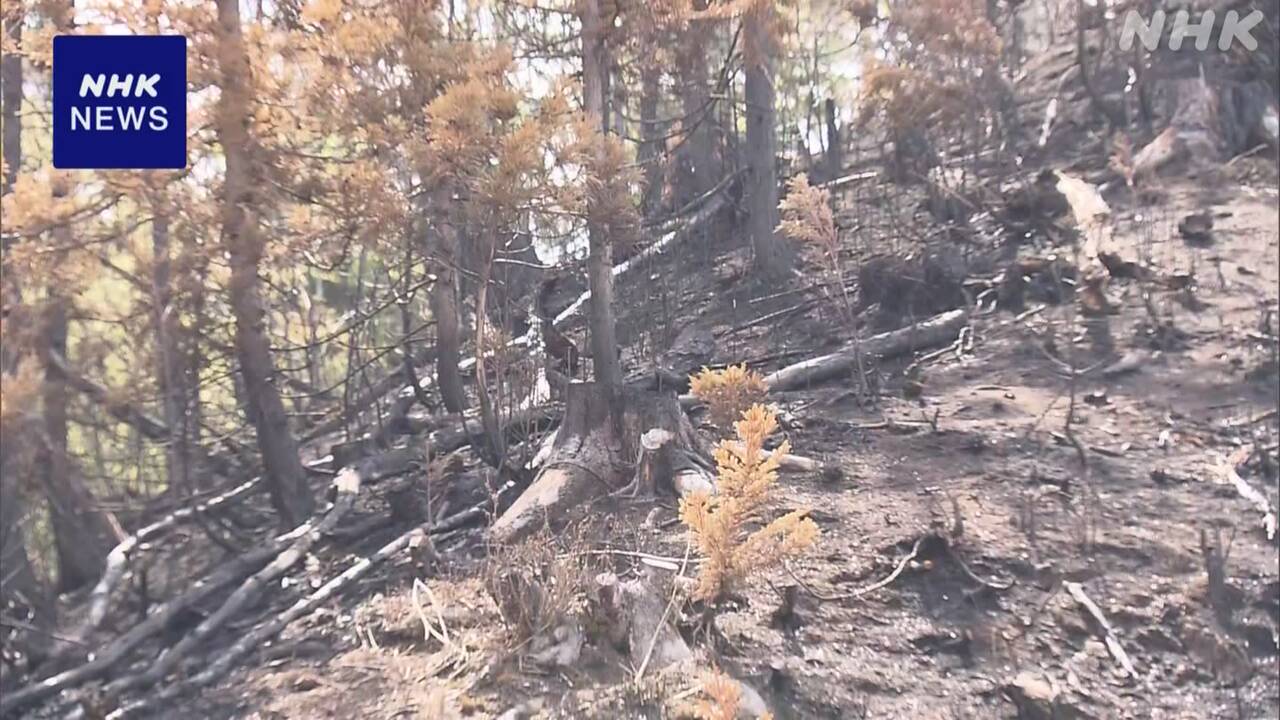 Mountain fire in Otsuchi Town, Iwate Prefecture, stopped spreading.