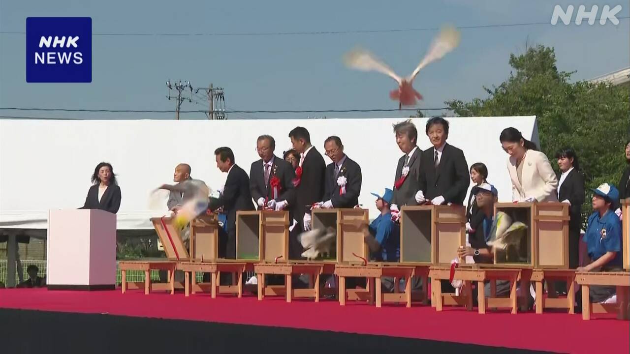 The 'Toki' transported from Sado, Ishikawa Prefecture, flew in the wild.