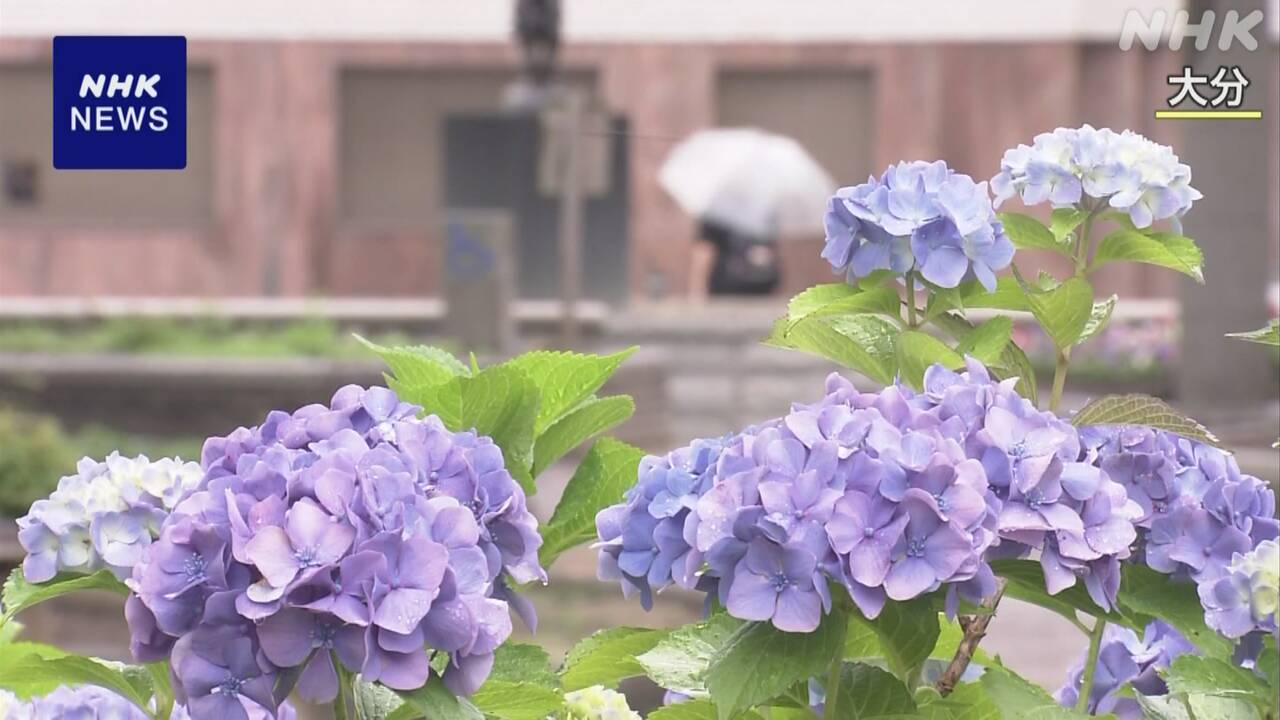 The rainy season has begun in northern Kyushu, the Chugoku region, and the Kinki region.