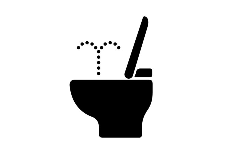 Japanese Toilets
