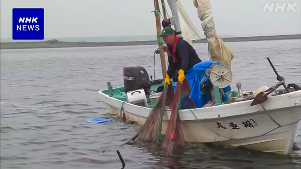 The fishing of 'Hokkai Shima Ebi,' which has continued since ancient times, has begun in Hokkaido.