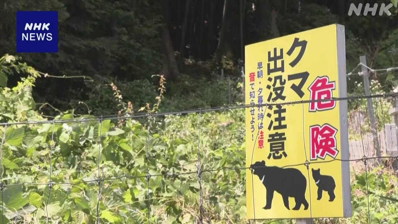 In Ishikawa Prefecture and Nara Prefecture, a bear attacked a person, injuring two.