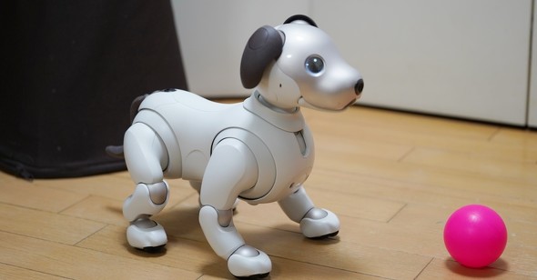 Sony says, 'We will not discontinue aibo' — calling on owners to 'please rest assured' while revealing 'next development'.