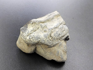 The stone picked up by an elementary school student at the riverbank turned out to be a rare structure that had not been discovered in half a century, according to researchers from the University of Tokyo and Waseda University who co-authored the paper.