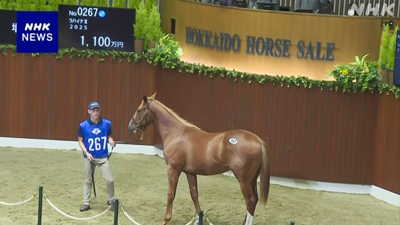 There was a meeting to determine the prices of horses in Shin Hidaka Town, Hokkaido.