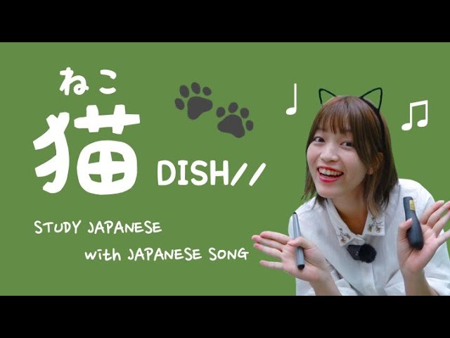 04♪ Cat / DISH// [Let's Learn Japanese with Japanese Songs]