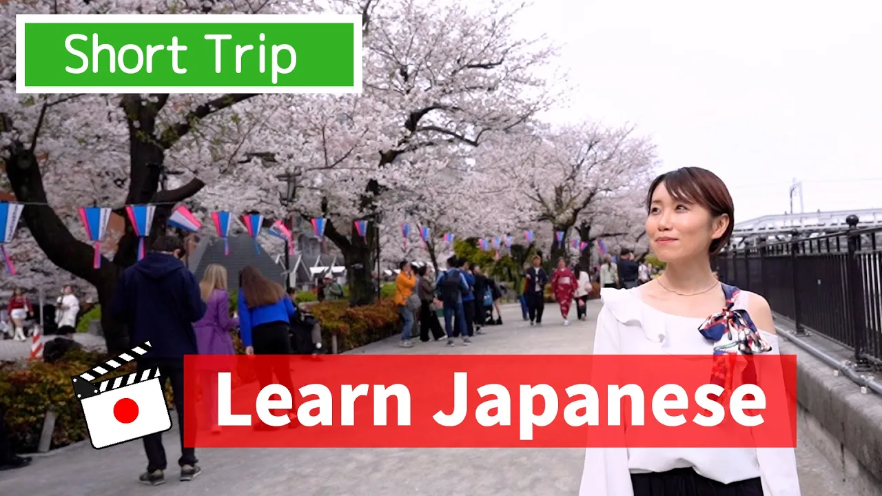 Super Easy Japanese for Beginners: Learn Adjectives in Tokyo!
