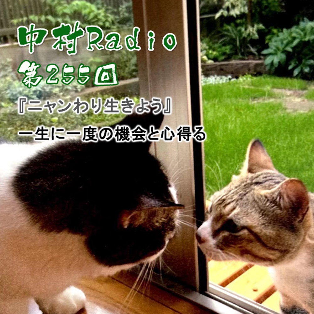 No. 255: Reading Aloud | Consider It a Once-in-a-Lifetime Opportunity・Live Like a Cat (Nyanwari)