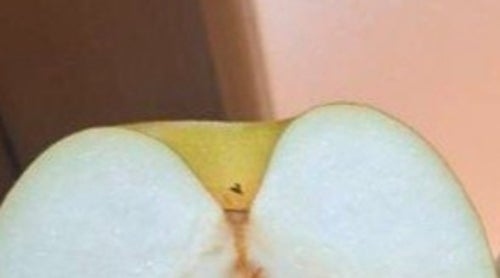Barn owl looks too much like a cross-section of a “seasonal fruit” ⇨ Internet erupts in laughter at the unexpected discovery: “Can’t tell them apart lol” “It was inside!”