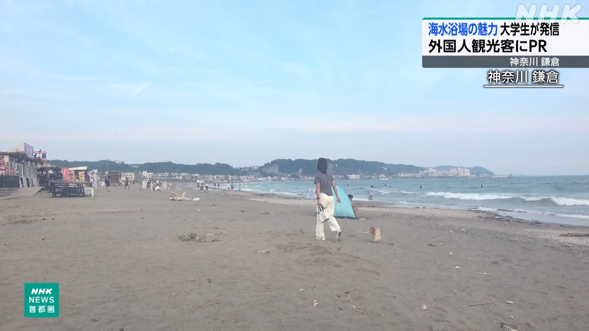 Introducing the wonders of Kamakura's sea to foreigners via social media.