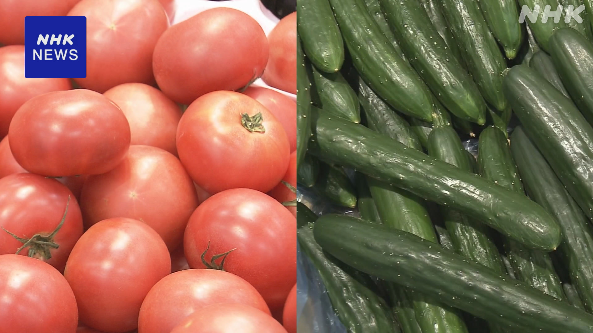 Vegetable prices: In September, tomatoes and cucumbers are expensive
