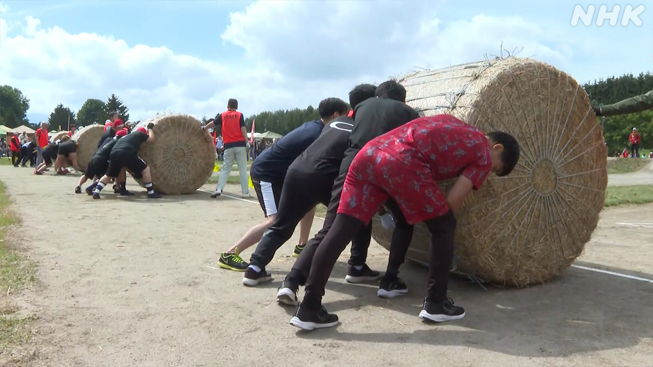 In Hokkaido, there was a competition to roll large bundles of grass.