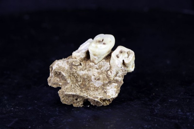Prehistoric hunter-gatherers may have fallen into a 'vicious cycle' with humanity's oldest drug use, new research suggests