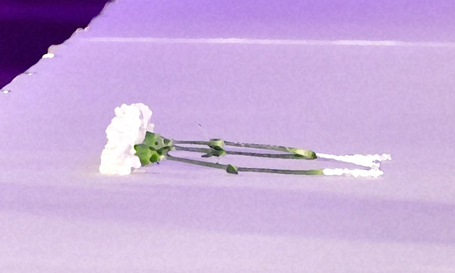 28-year-old haiku poet and gravure idol passed away on the 9th; Yoshimoto comedian mourns: "It was so sudden that words..."