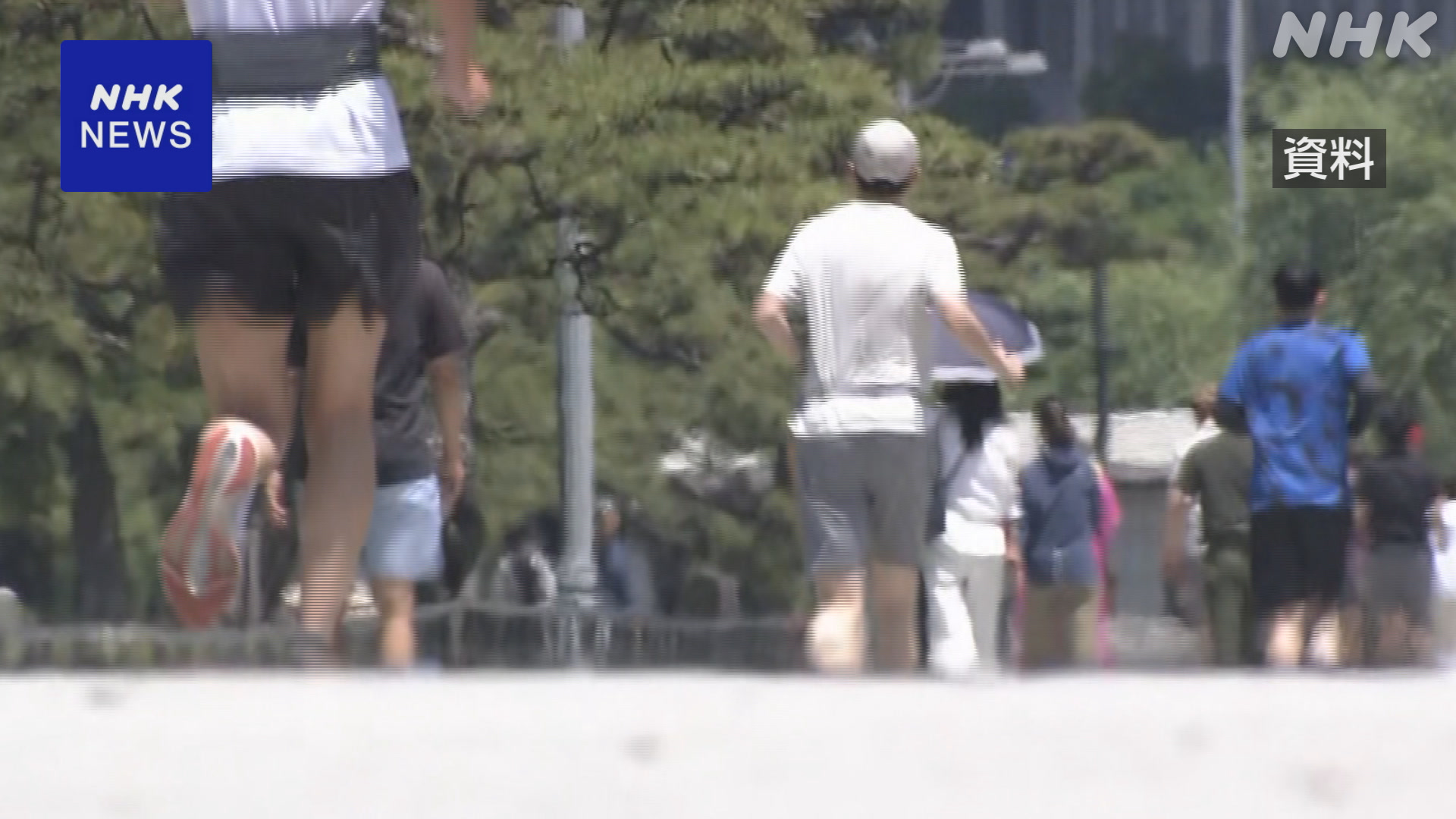 People who run around the Imperial Palace: some have poor manners