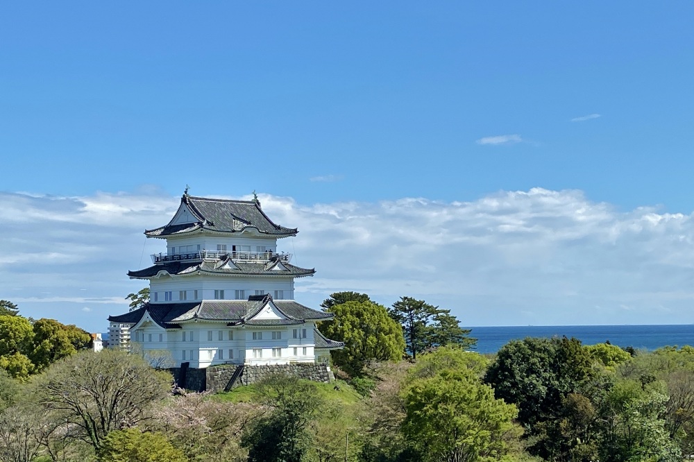 The Japanese town of "Odawara"