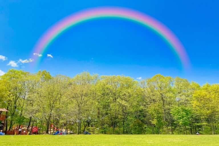Why is a rainbow written with the insect radical?